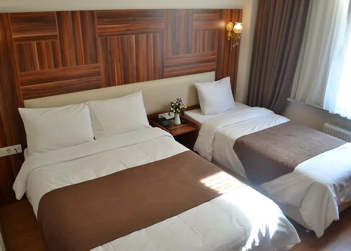 Hotel Fatih 2*